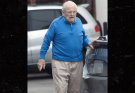 At 98, This Hollywood Legend Has a Lifetime of Remarkable Achievements — But Who Is He?..
